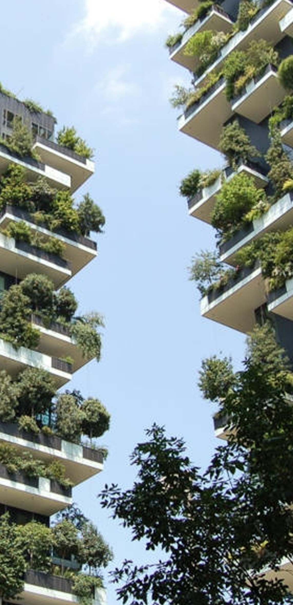 image-sdg7